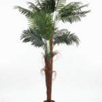 TALL ARTIFICIAL PALM TREE | ONLINE SALES OF FAKE PALM PLANTS