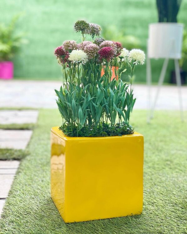 VINE FLOWERS POTTED WITH 20CM X 20CM SQUARE FIBERGLASS PLANTER