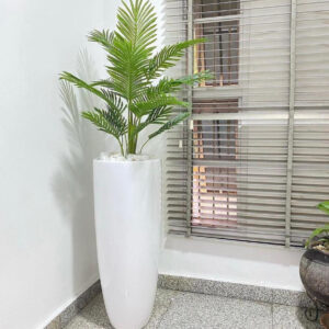 100cm palm plant potted with 120cm slim cylinder vase