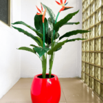 100cm paradise bird plant potted with 33cm egg classic pot