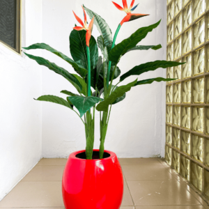 100cm paradise bird plant potted with 33cm egg classic pot