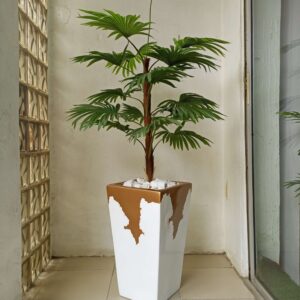 120cm dracaena plant potted with 80cm classic pot