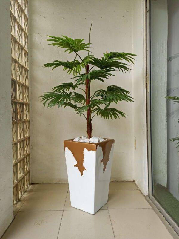 120cm dracaena plant potted with 80cm classic pot