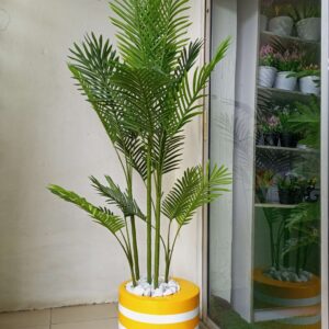 30cm curved mouth cylinder fiberglass planter potted with six stem palm plants