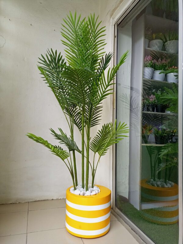 30cm curved mouth cylinder fiberglass planter potted with six stem palm plants