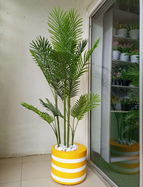 30cm curved mouth cylinder fiberglass planter potted with six stem palm plants