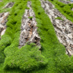 artificial tree bark