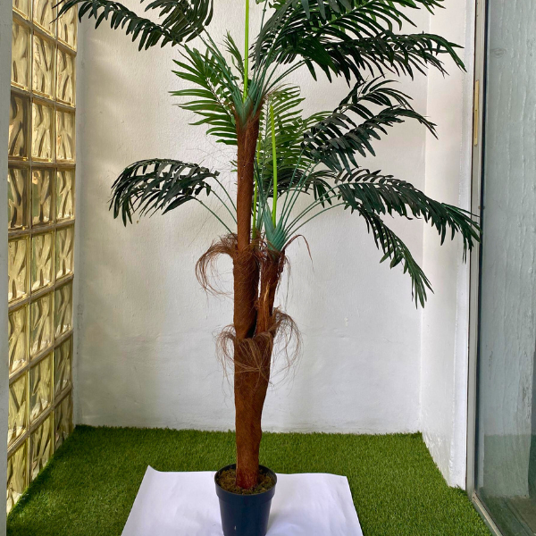 Plant Decor