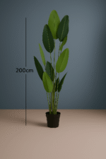 Faux Banana Plant