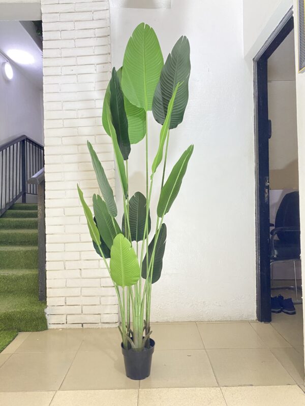 Artificial Traveler Banana Plant
