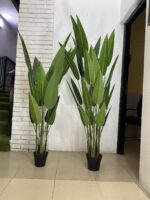 Home Décor