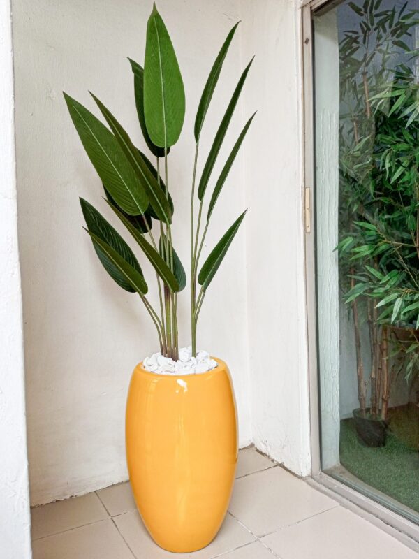 Maintenance-free indoor tropical plant