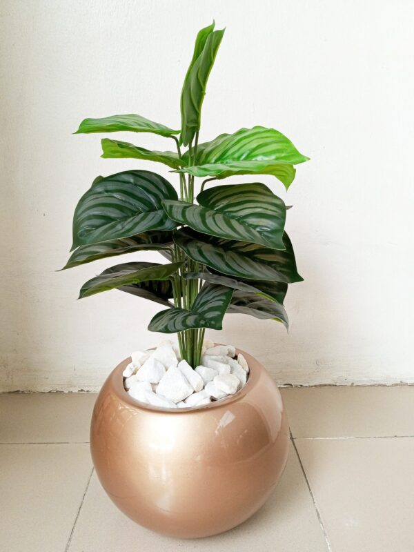 Modern decorative plant