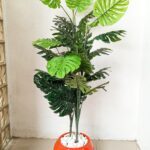 Maintenance-free decorative plant
