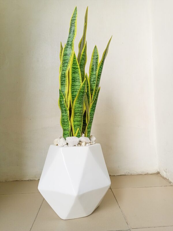 Modern artificial snake plant décor