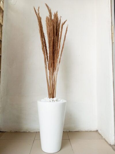 Maintenance-free decorative plant