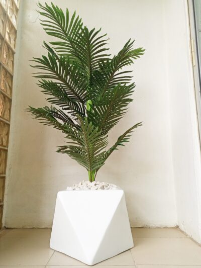 Maintenance-free tropical plant