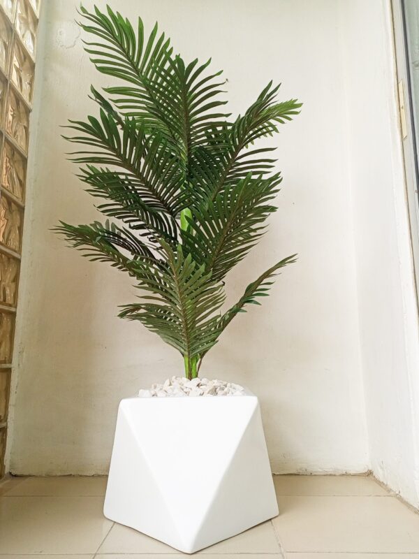Maintenance-free tropical plant