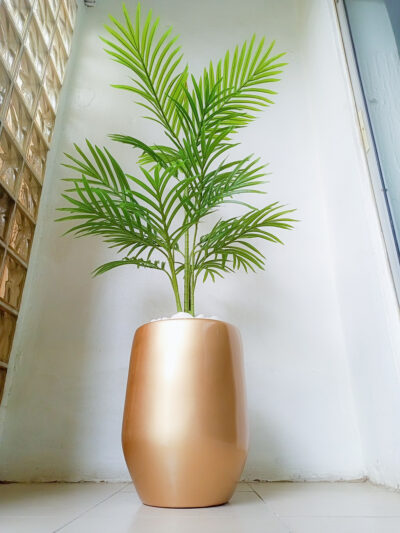 potted palm plant
