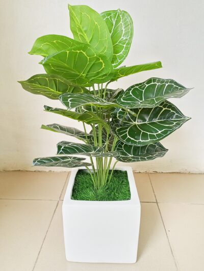 Home décor