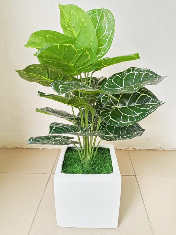 Home décor