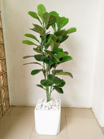 Fiberglass pot fiddle leafs