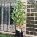200cm Four Stem Bamboo Plant