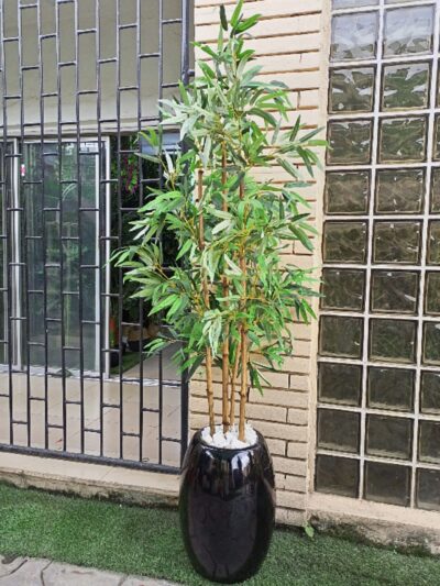 200cm Four Stem Bamboo Plant
