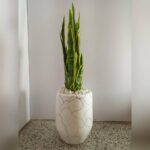 Low-maintenance artificial plant