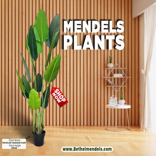 Artificial Traveler Banana Plant