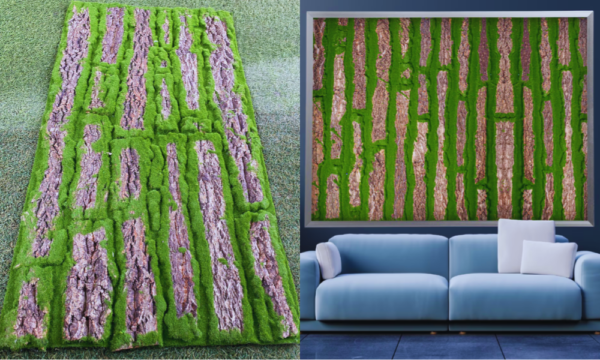 Natural aesthetic wall décor