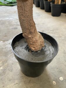 Low-Maintenance Fake Plants