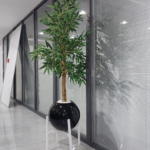 Bamboo plant in fiberglass pot