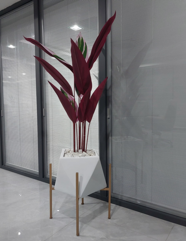 Skybirds plant in fiberglass pot