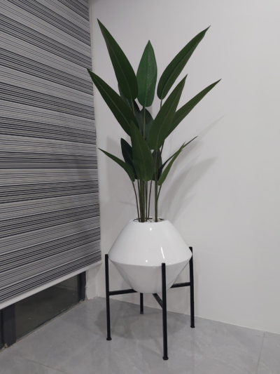 Skybird plant in fiberglass pot