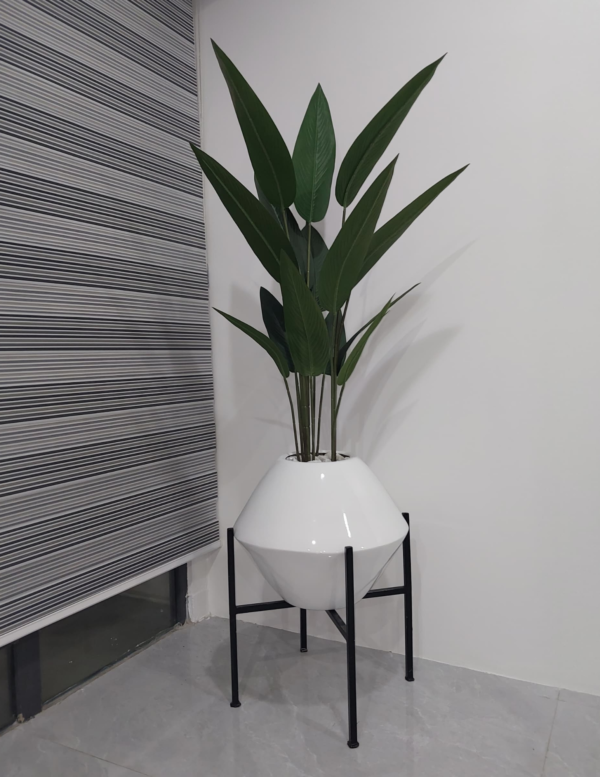 Skybird plant in fiberglass pot