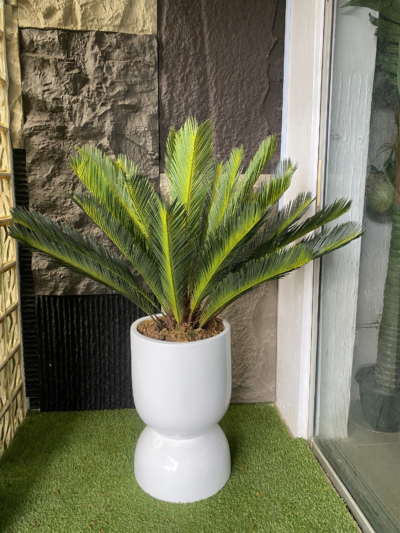 110CM Cycas Palm