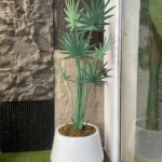 Palm tree in fiberglass planter