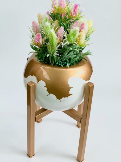 Vines flower potted