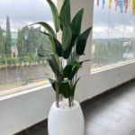 Egg classic fiberglass pot