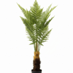 Artificial Fern Tree Plant – Enhance Your Space with Life-like Elegance