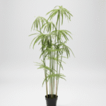 Artificial Graptopetalum Plants Tree – 125cm |Timeless Beauty, Zero Maintenance