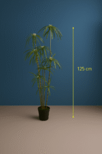 Artificial Graptopetalum Plant