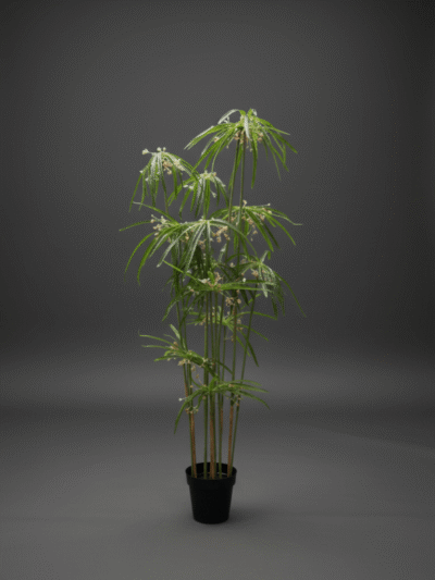Artificial Graptopetalum Plants Tree – 125cm |Timeless Beauty, Zero Maintenance
