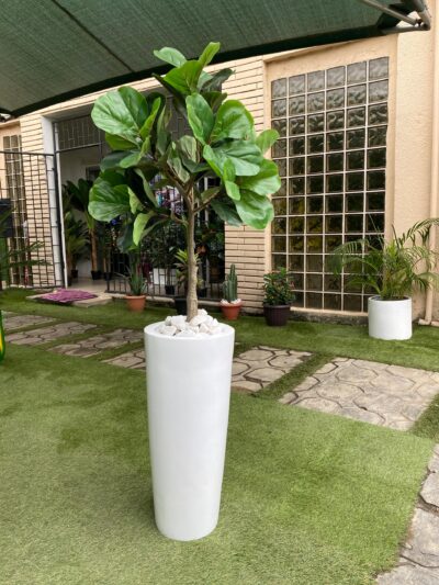Artificial fiddle leaf tree