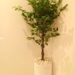 fiberglass cylinder vase