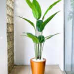 fiberglass cone vase