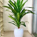 fiberglass apple vase