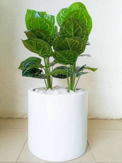 Artificial white taro plant