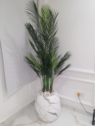three-stem palm